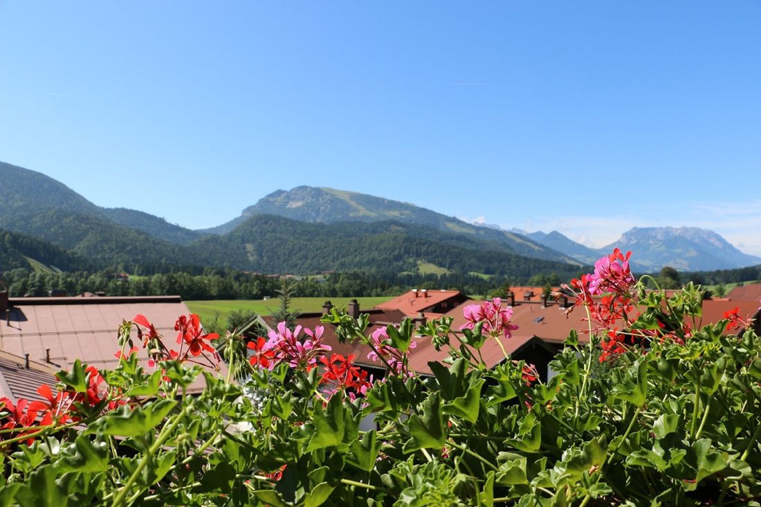 Ausblick