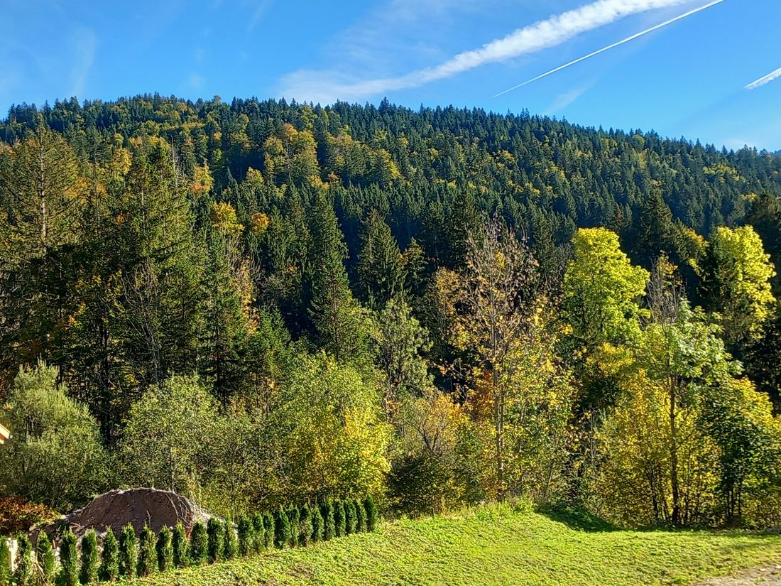 Blick vom Balkon