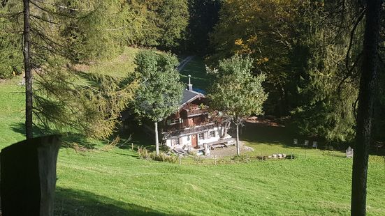 Glapfalm