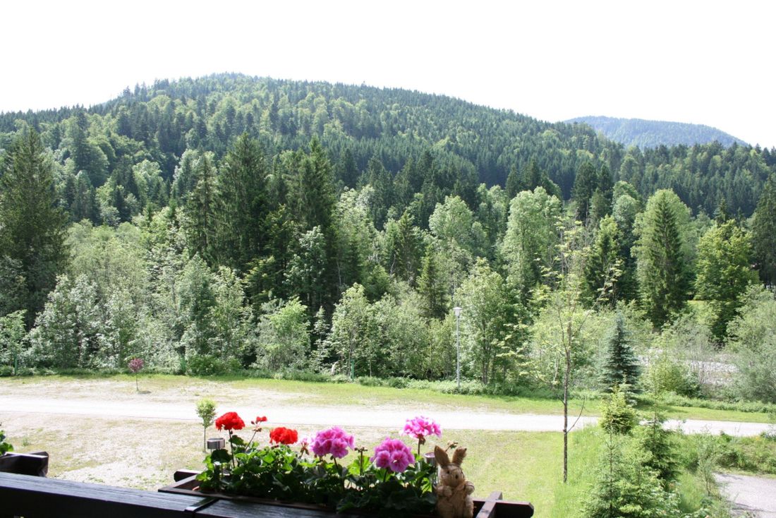 Blick vom Sommerbalkon