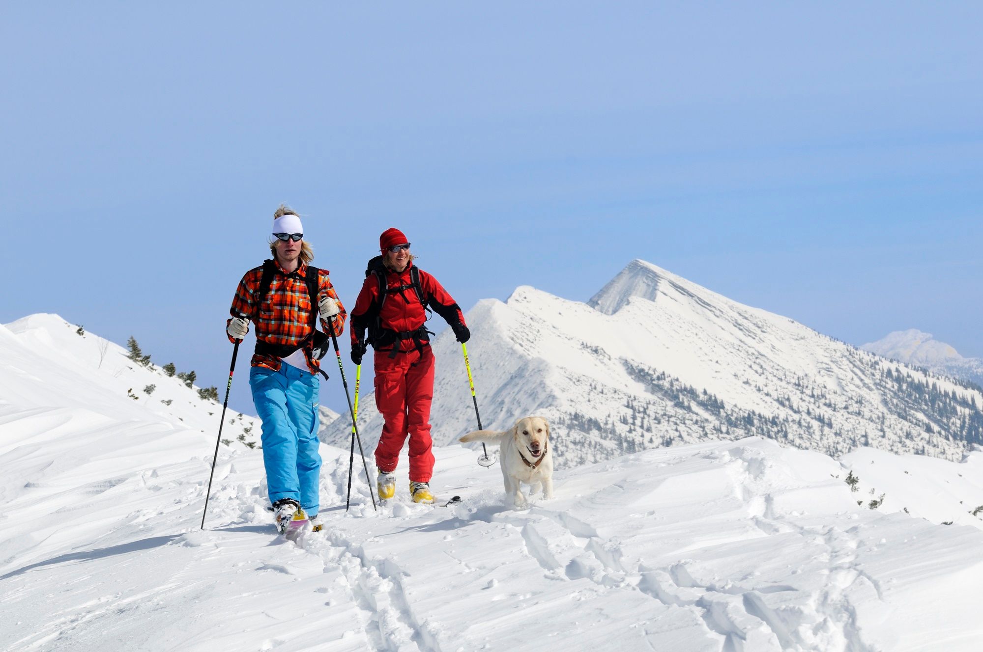 Skitour in den Chiemgauer Alpen mit Hund