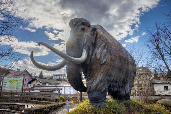 Mammut-mit-Himmel-Richard-Scheuerecker