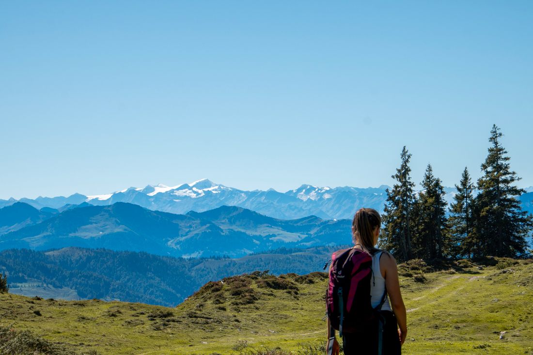 Blick zu den Glestschern