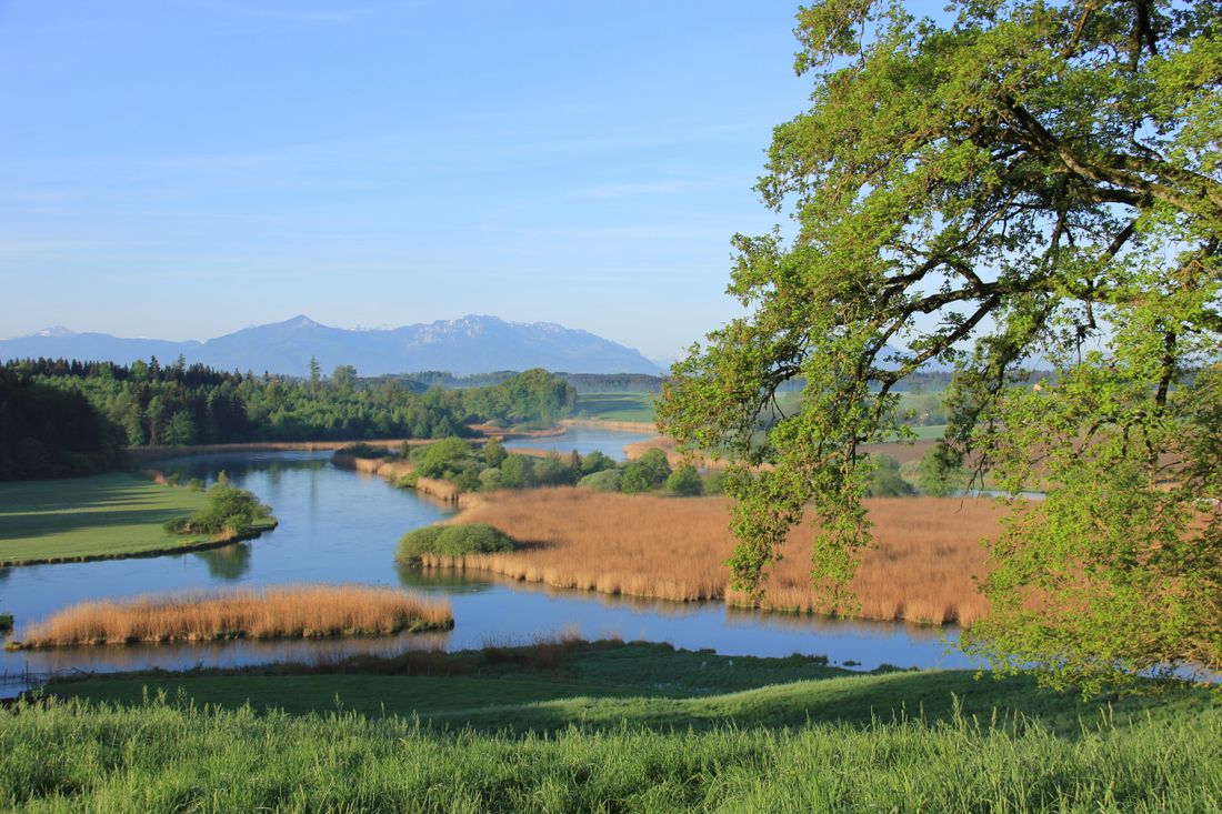 Alz - Bifuß ©Tourist-Information Seebruck (6)