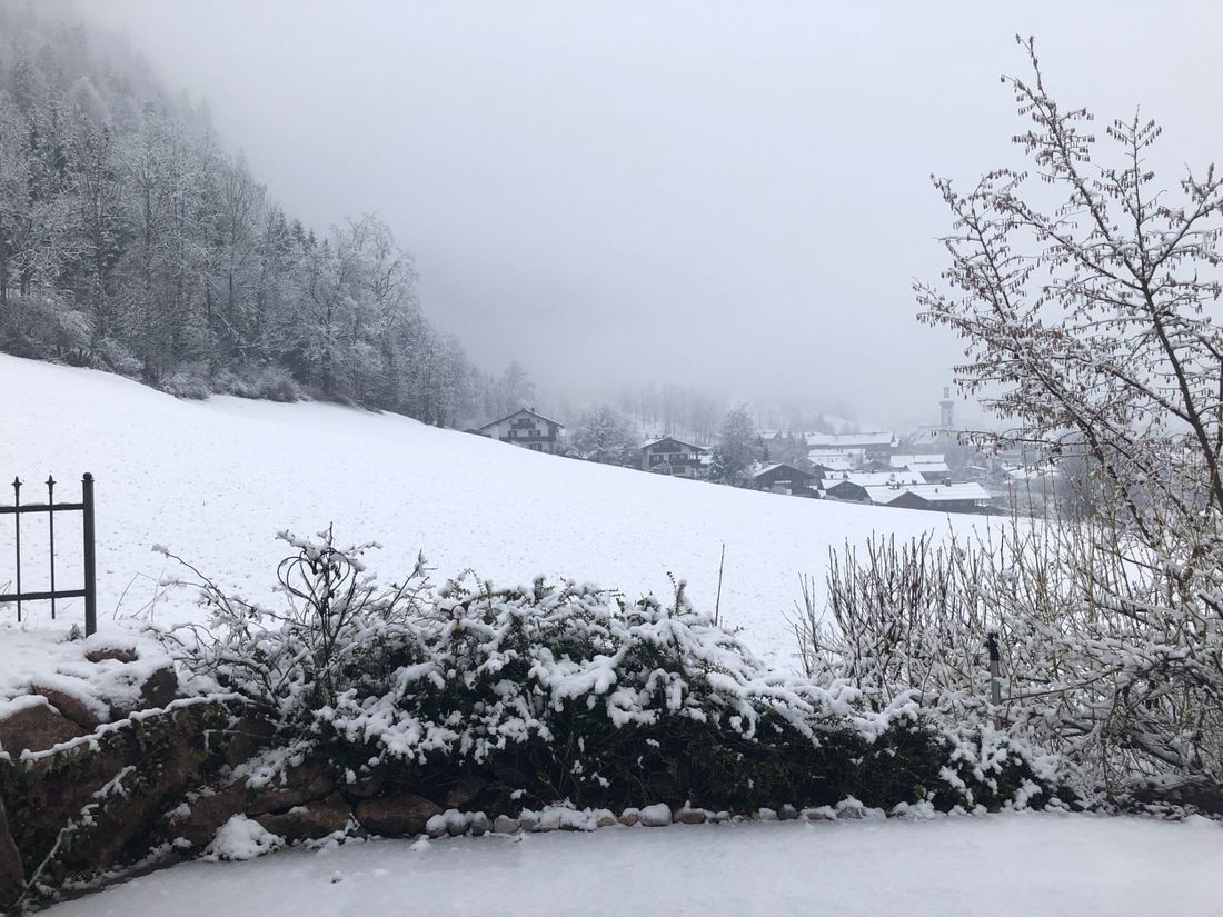 im Winter