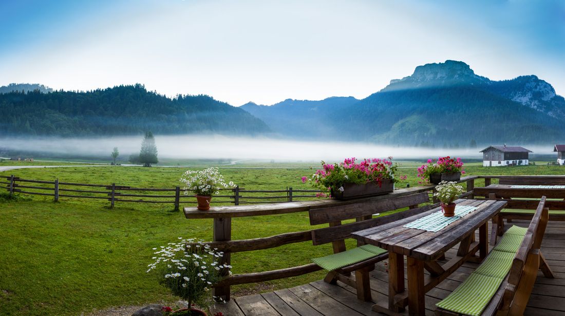 Blick ins Röthelmoos