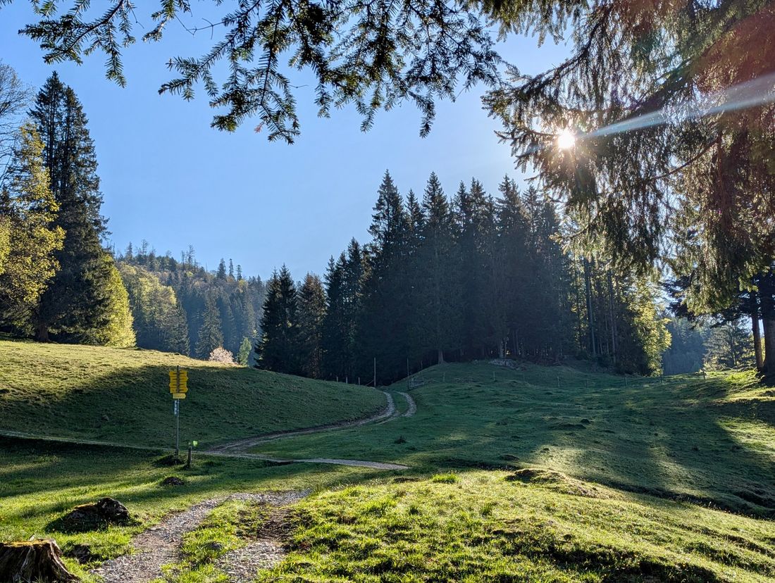 Chiemseeblick Hutzenalm Wanderweg