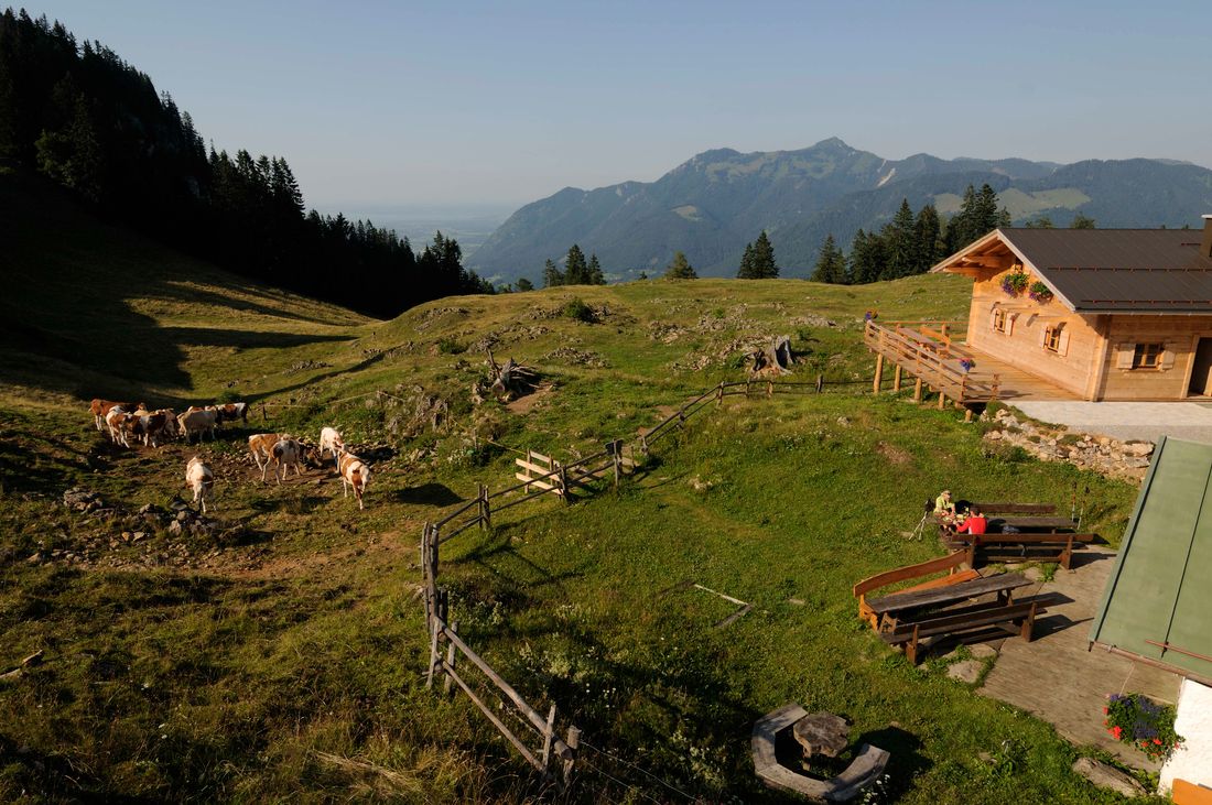 landscape at Stoibenmöseralm