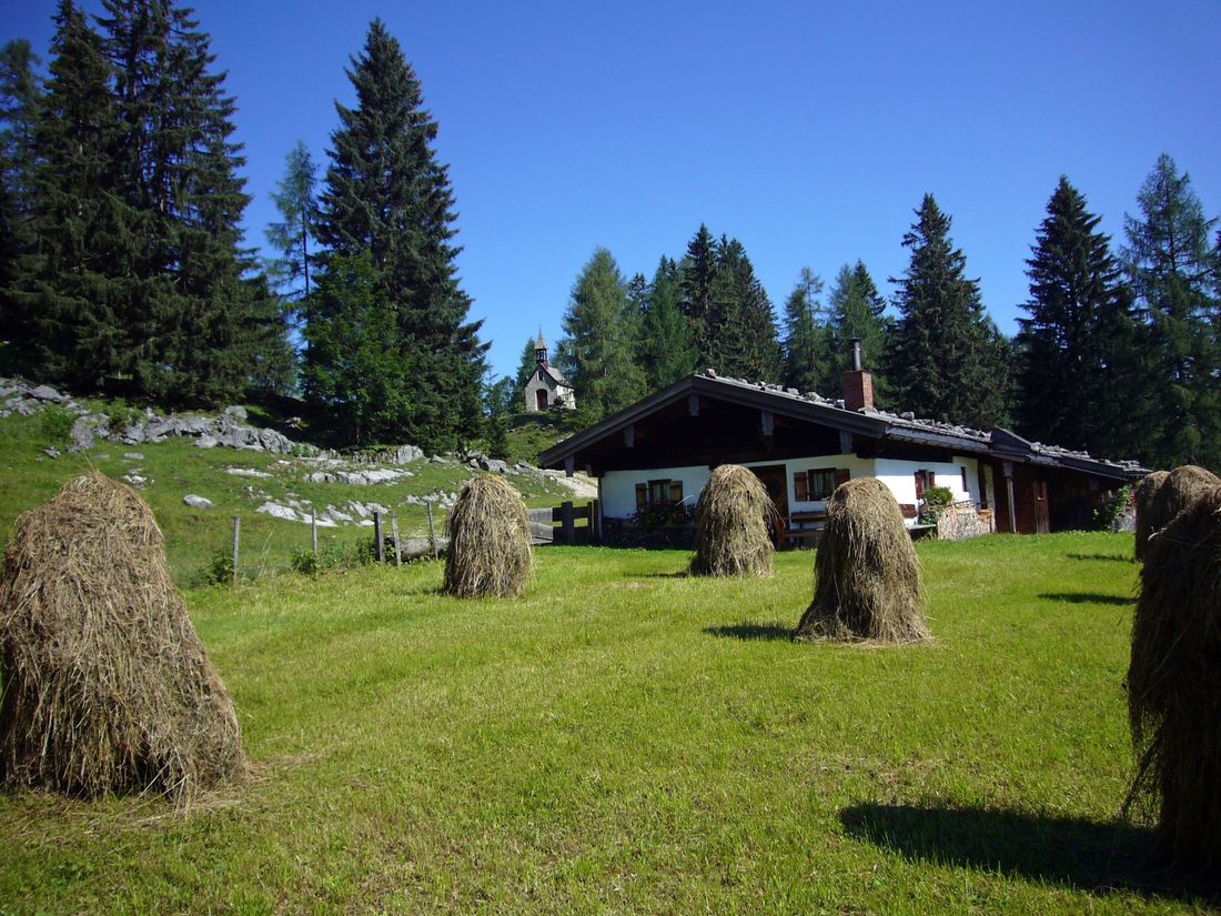 Feidnkaser Hemmersuppenalm