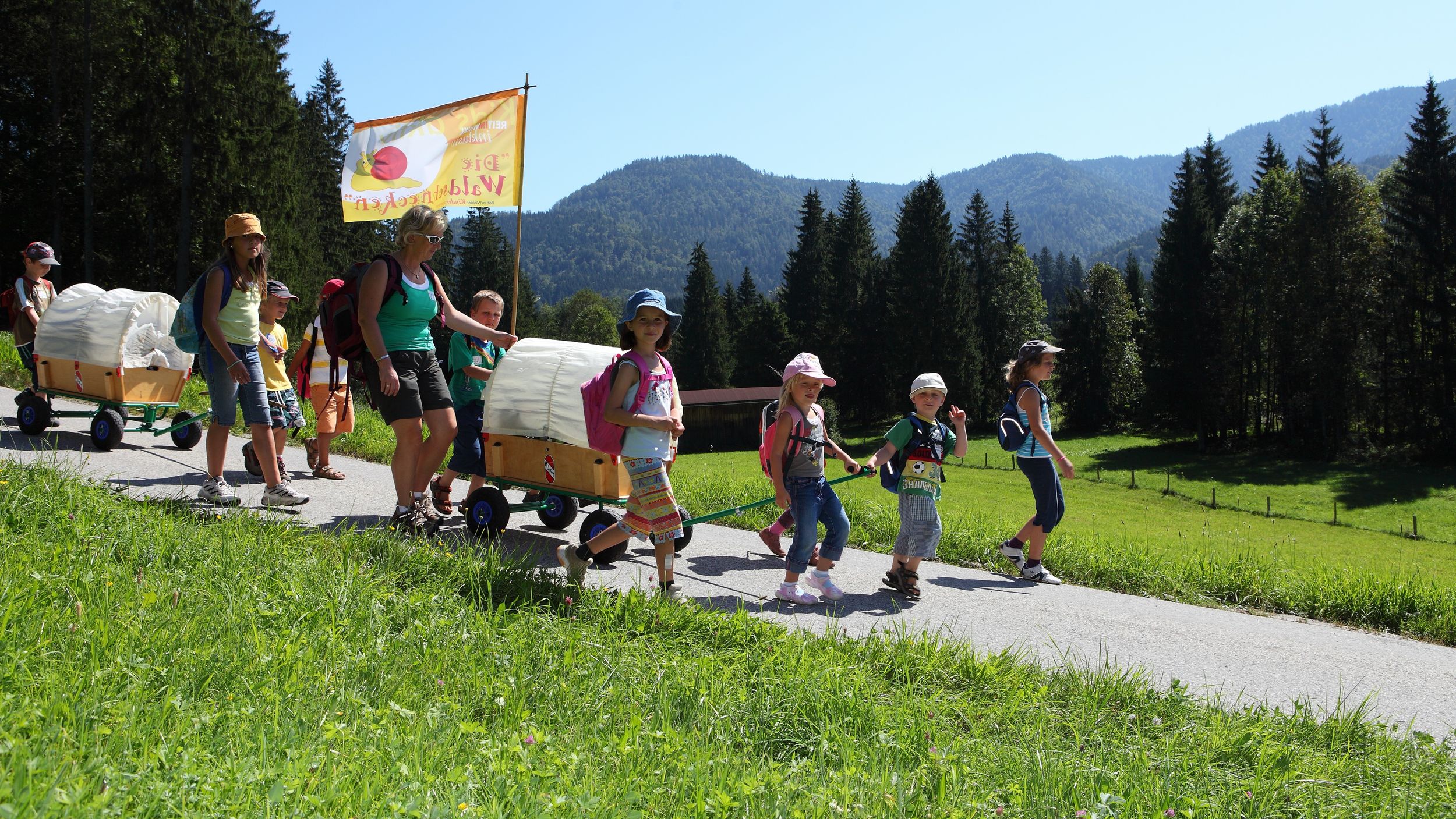 Waldschnecken unterwegs