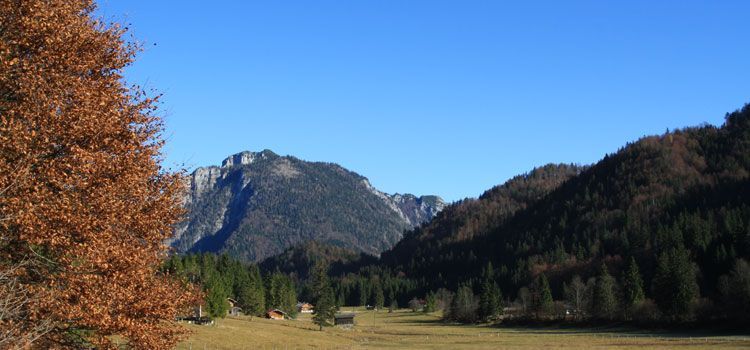 der Ausblick