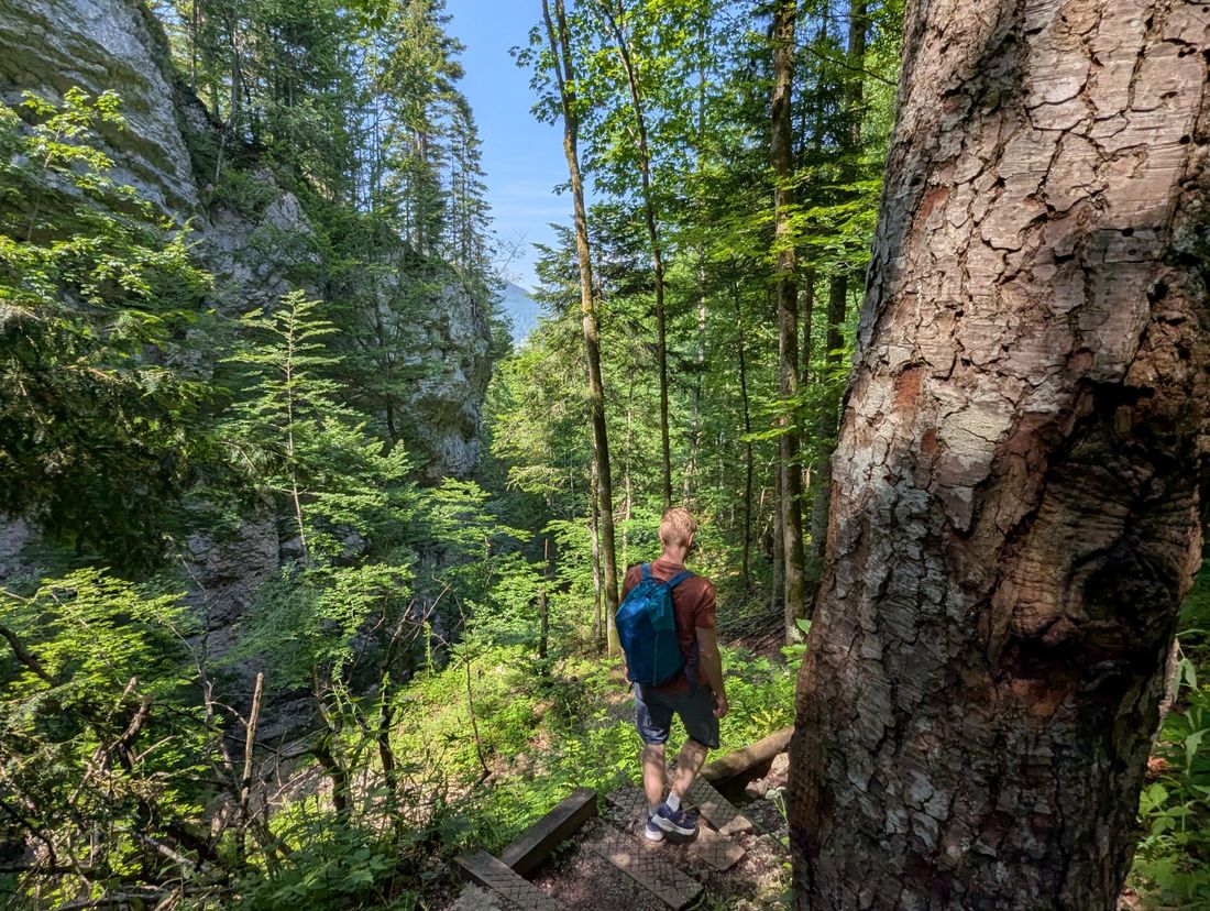 Klausenbachklamm