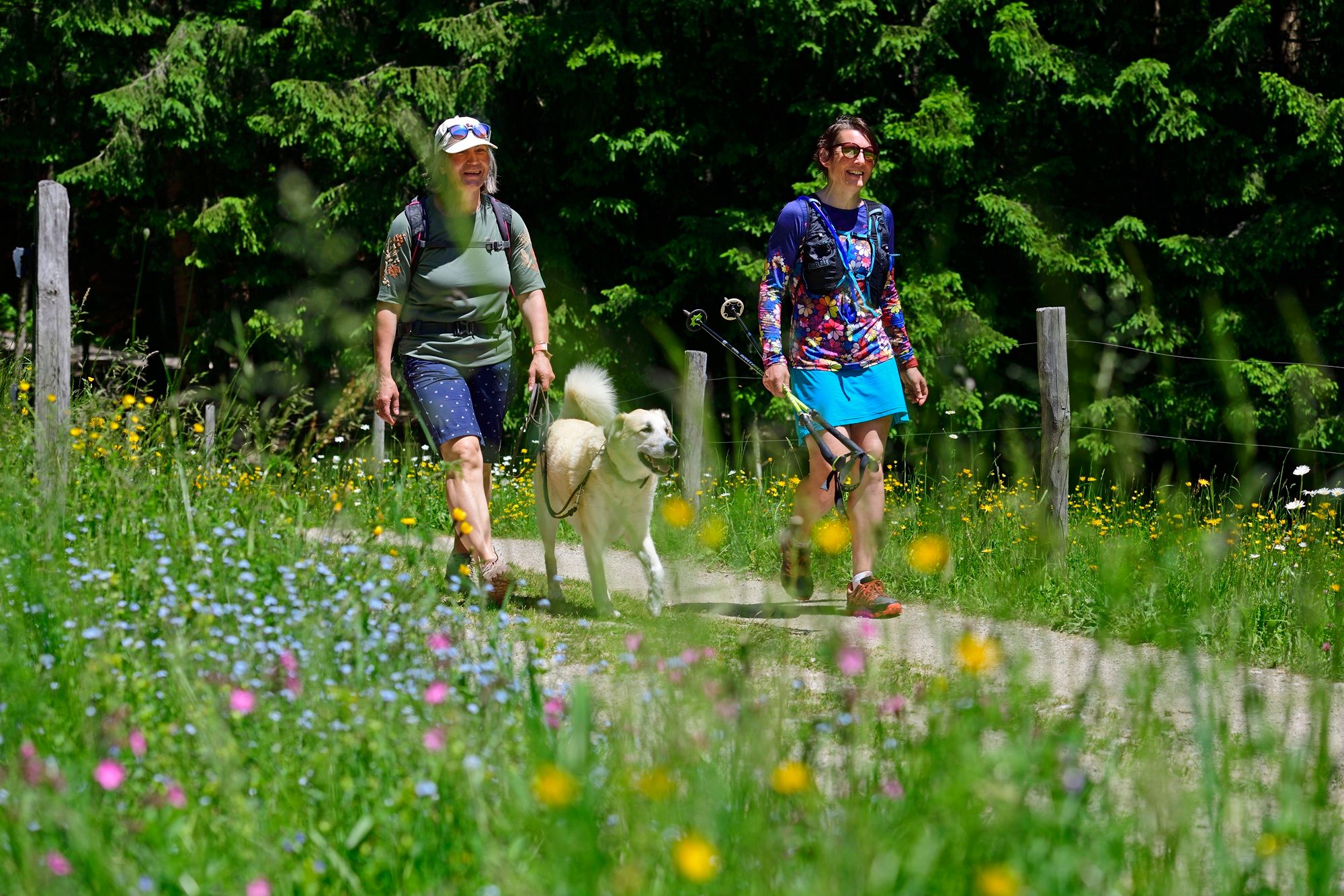 Blumenwiesen-Wanderung