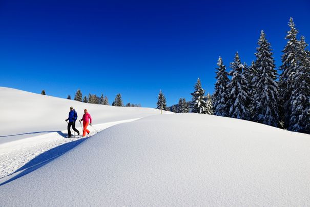 Winterlandschaft