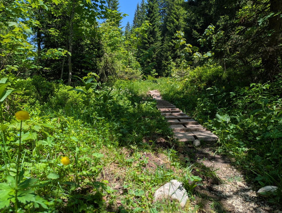 Almgenuss Gletscherblick Premiumwandern
