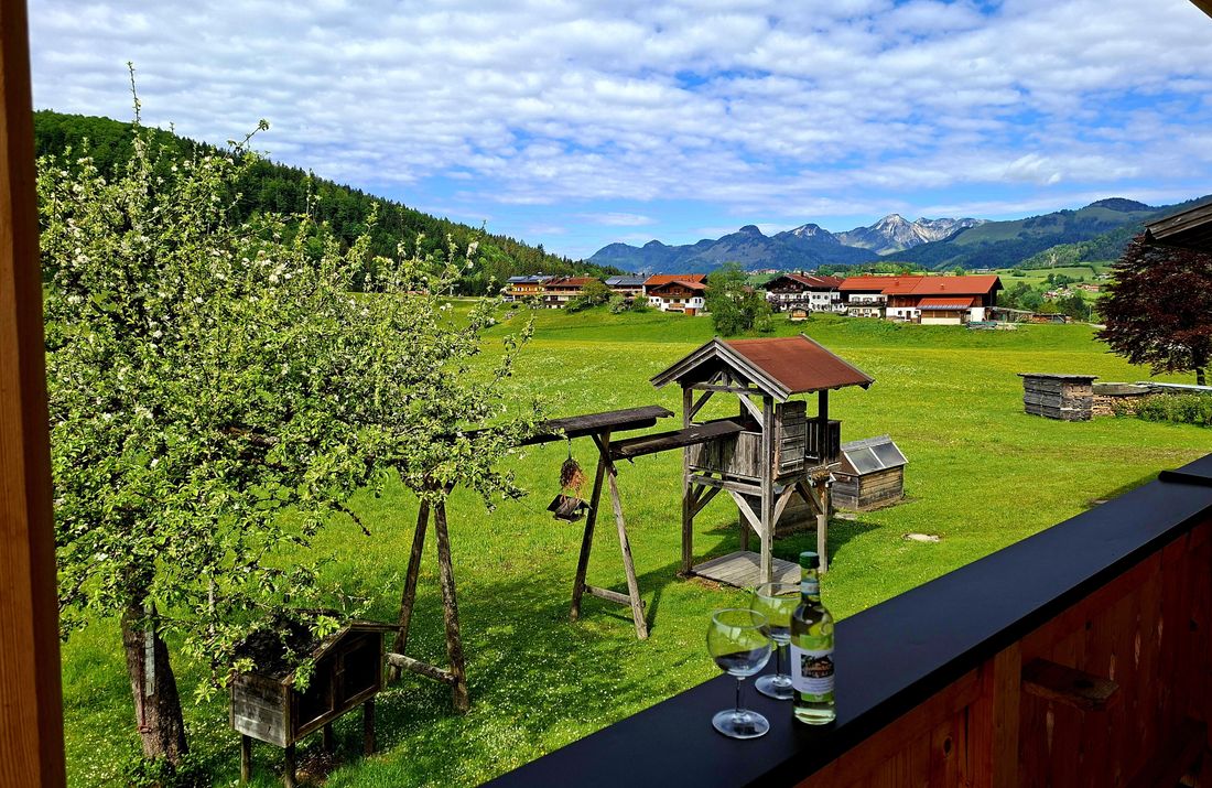 Aussicht der Zimmer Klausenberg und Hausberg