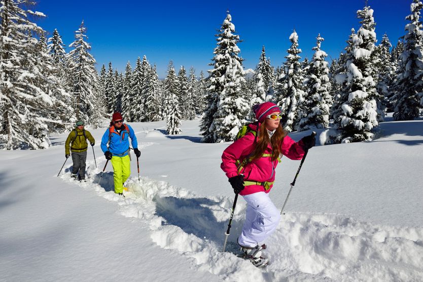 Mit Schneeschuhen durch den Winterwald