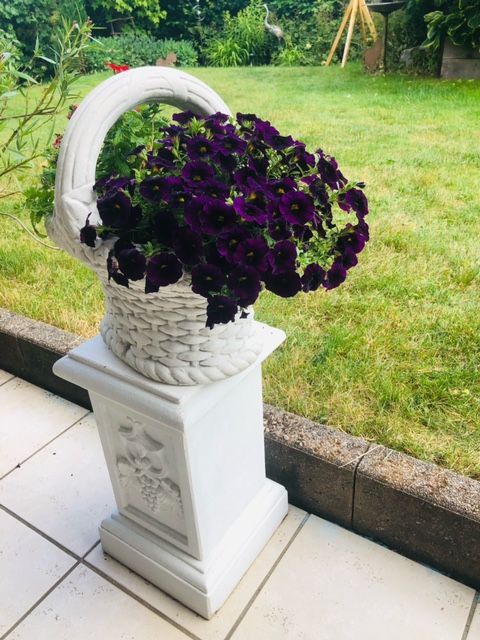 Blumenkörbchen