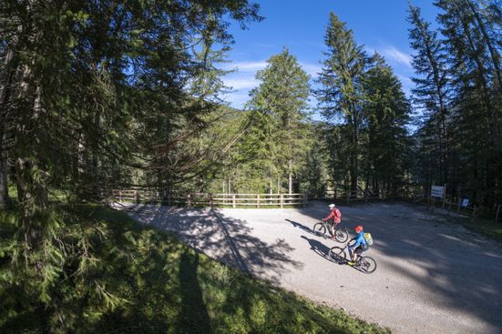 Auf dem Weg zur Röhtelmoosalm