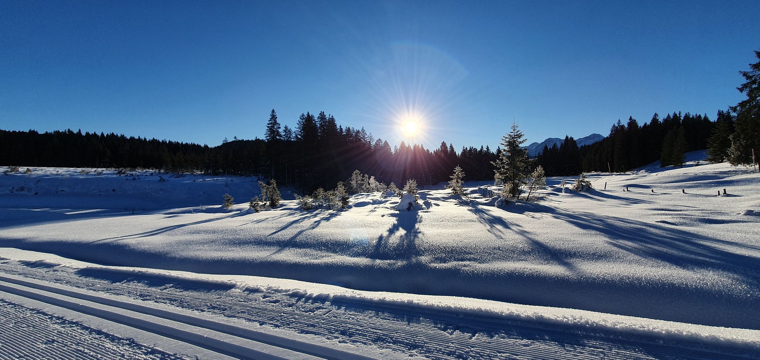 Winterlandschaft mit Loipe Winklmoos-Alm