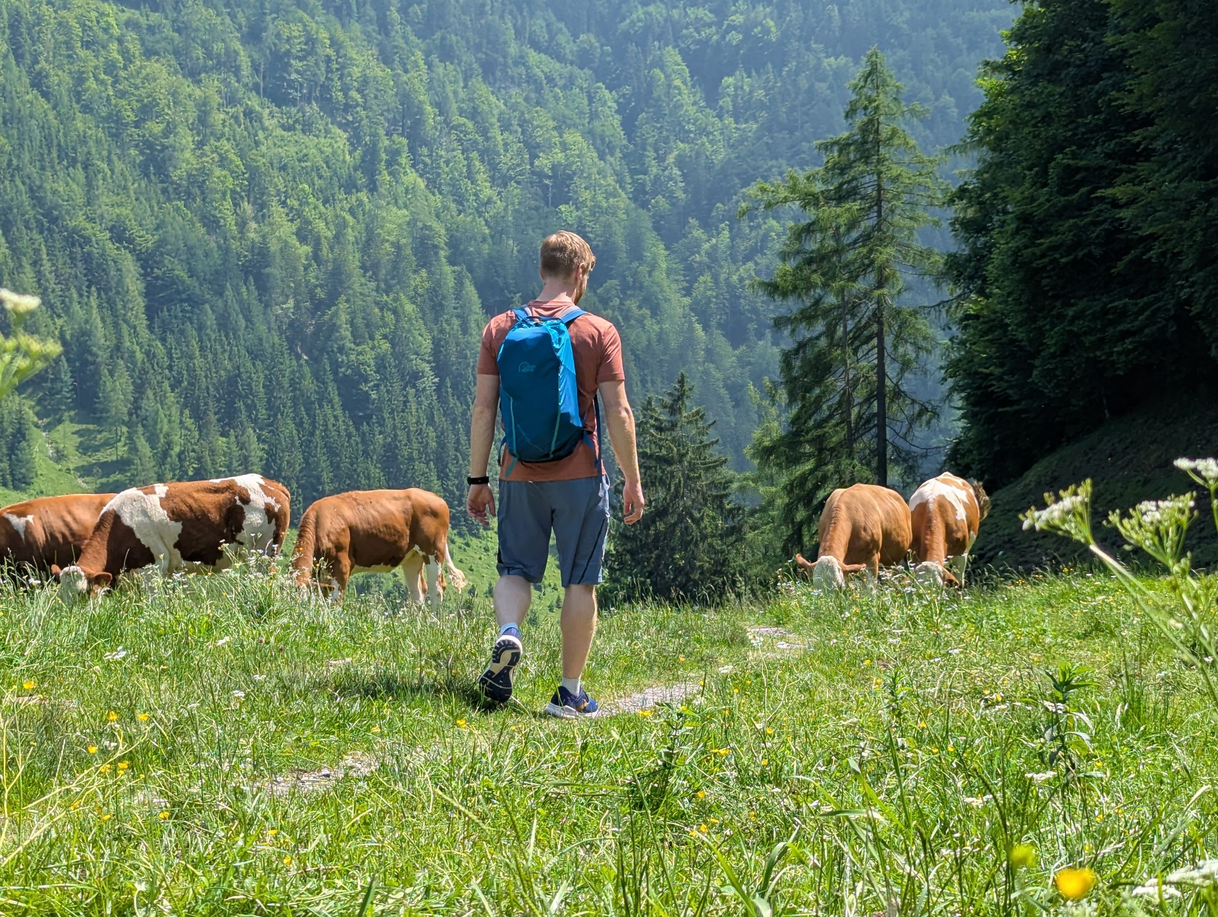 Klausenberg & Klausenbergklamm Sommer