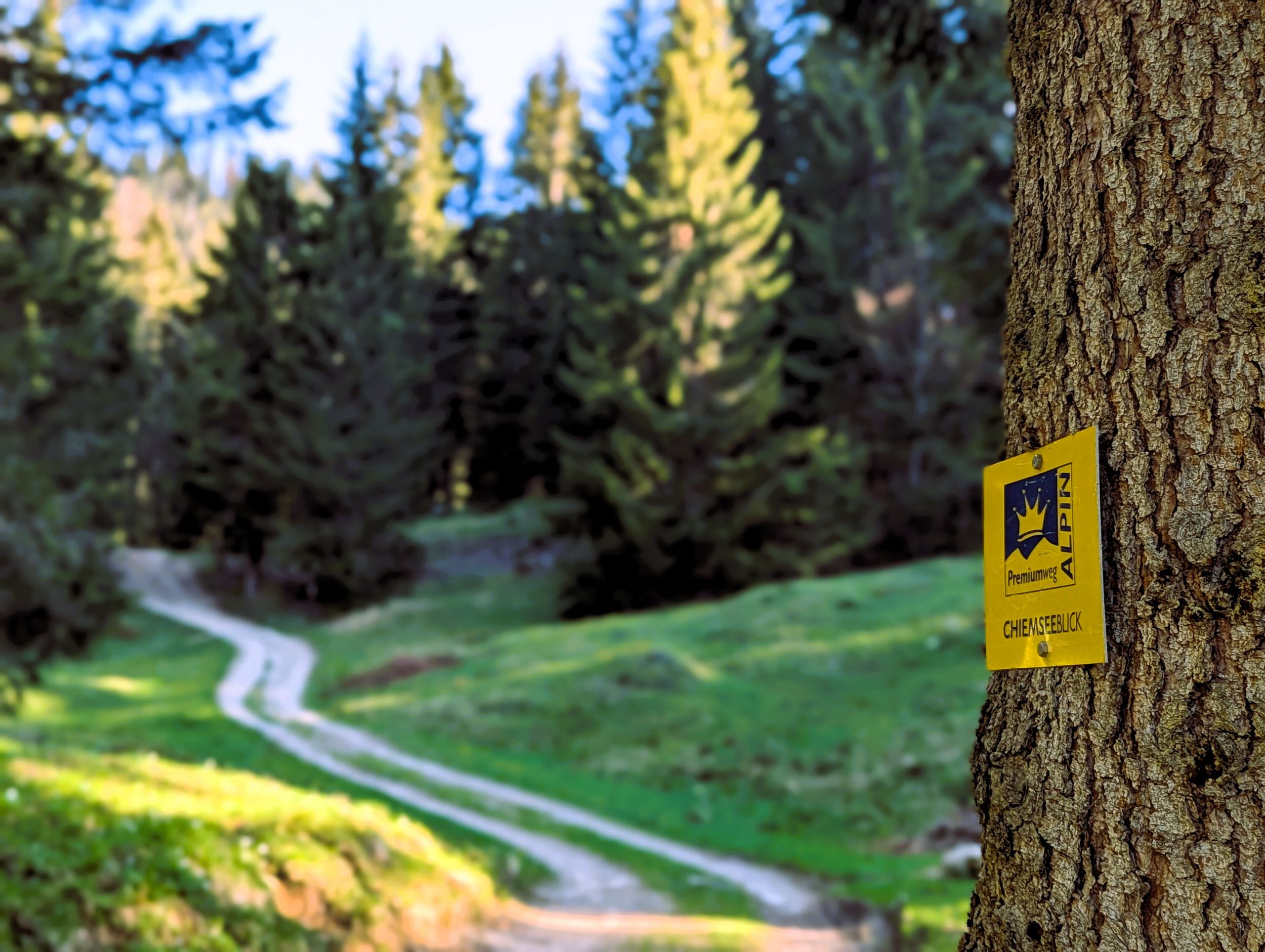 Premiumwanderweg Schild Chiemseeblick