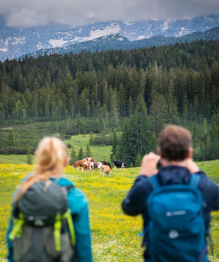 Paar beim Wandern auf der Winklmoos-Alm