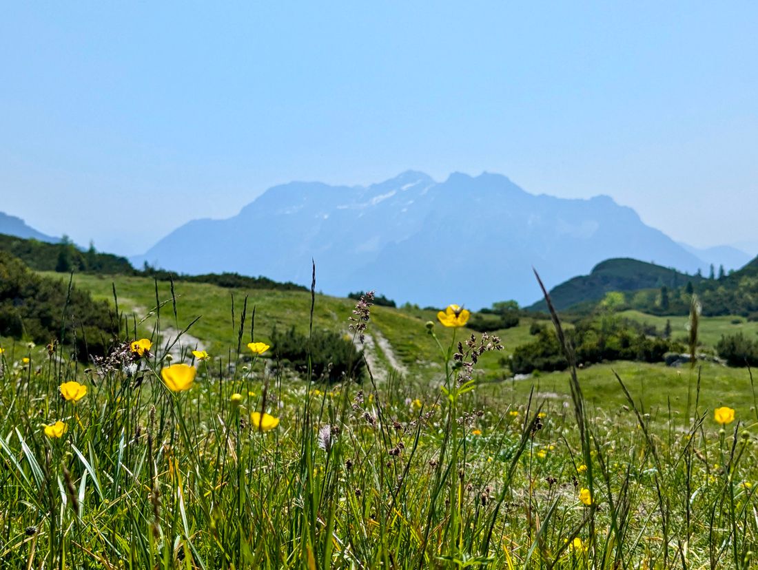 Almgenuss Gletscherblick Premiumwandern