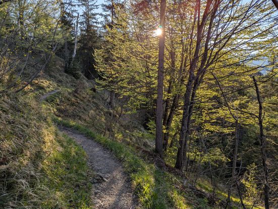 Chiemseeblick Wanderweg Frühling