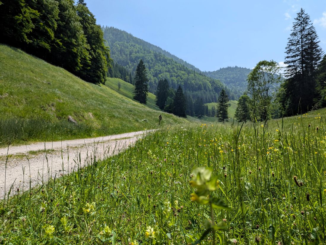 Wanderweg am Klausenberg