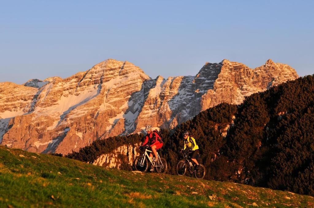 MTB Steinplatte