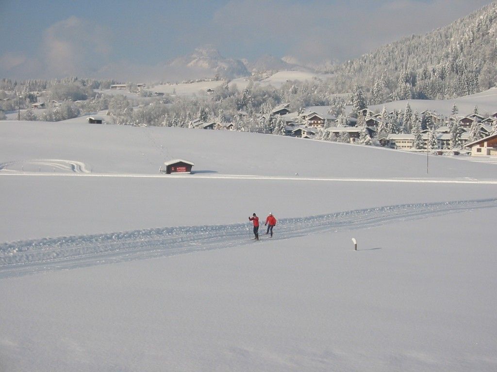 Wintermorgen