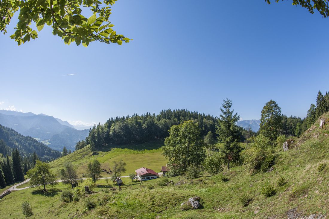 View at the Chiemseeblick premium hiking trail